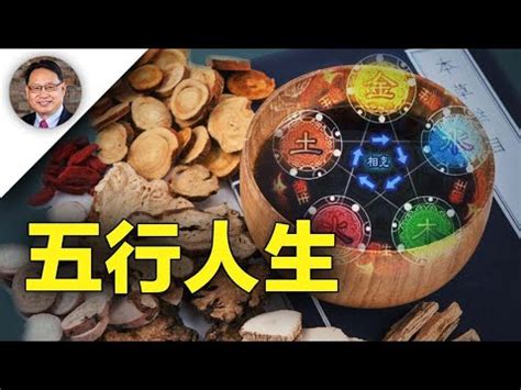 飲食業五行|【飲食業 五行】飲食業五行大揭密：火與水交織的五行組合